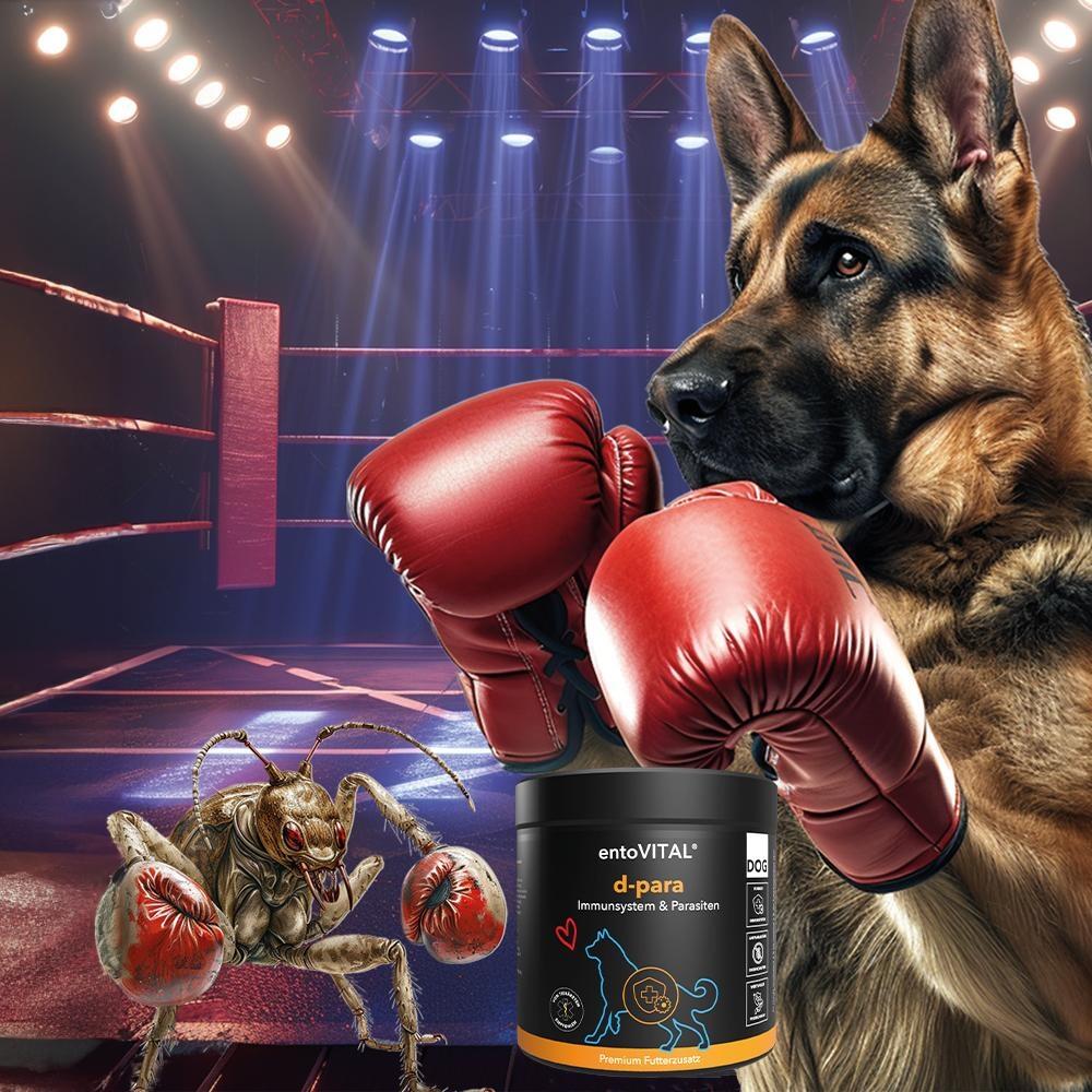 entovital dog d para