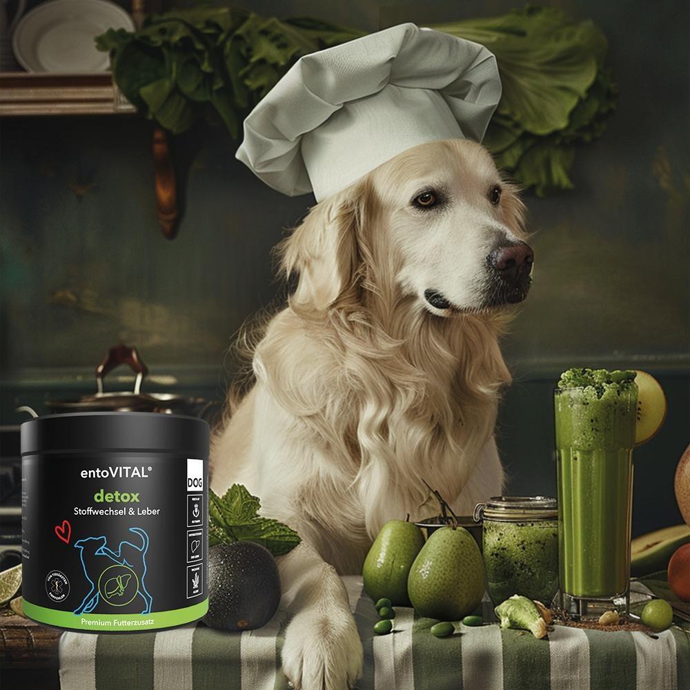 entovital dog ​​​​detox