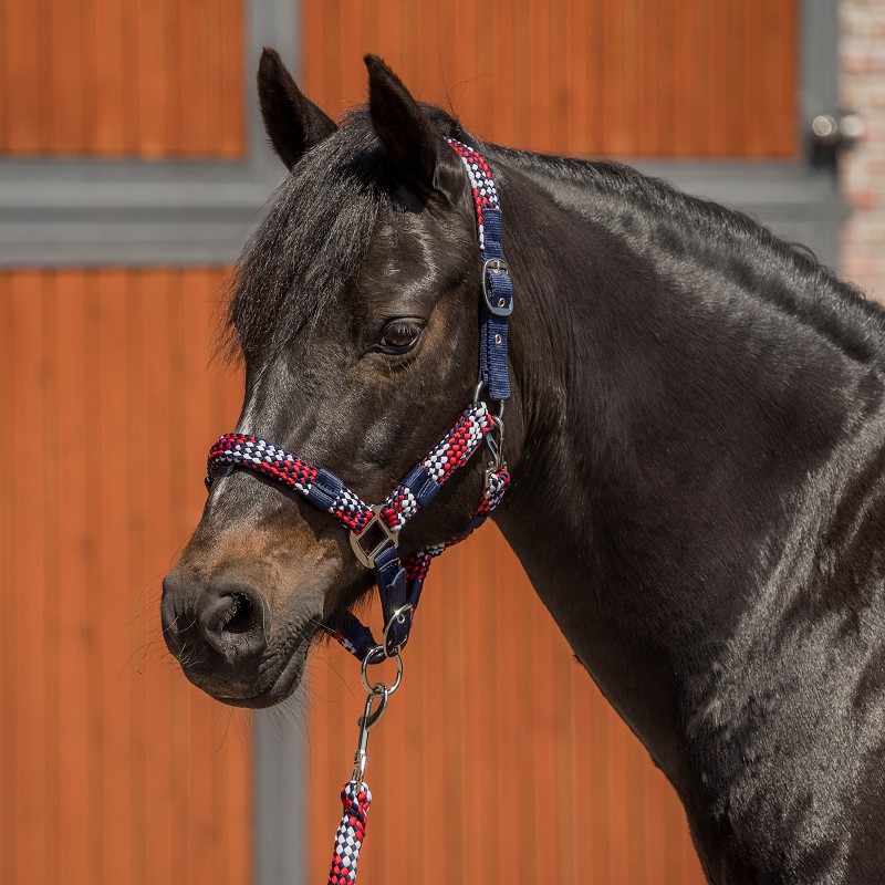 rh set color rh set color