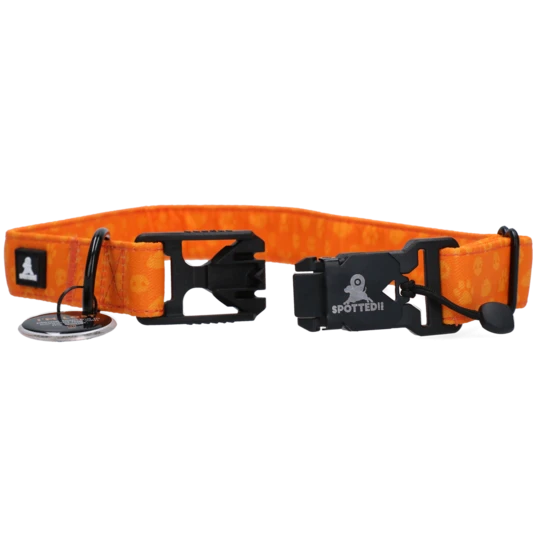 pametna ovratnica spotted pro z magnetnim zapenjanjem in pametnim obeskom pametna ovratnica spotted pro z magnetnim zapenjanjem in pametnim obeskom