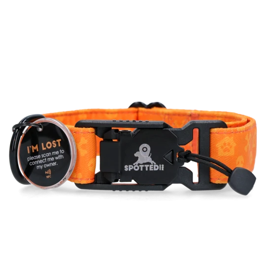 pametna ovratnica spotted pro z magnetnim zapenjanjem in pametnim obeskom pametna ovratnica spotted pro z magnetnim zapenjanjem in pametnim obeskom