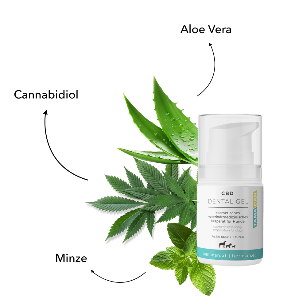 tamacan zobni gel tamacan zobni gel