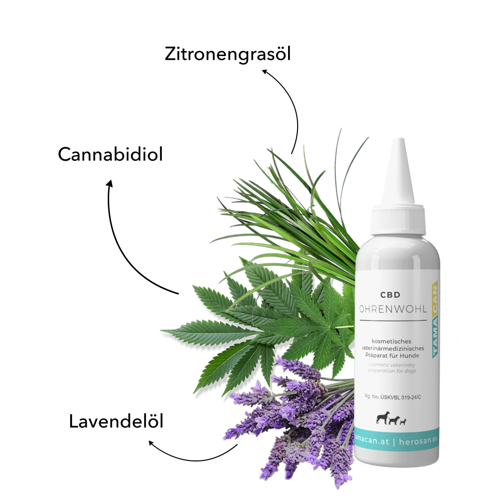 tamacan udobje ušes