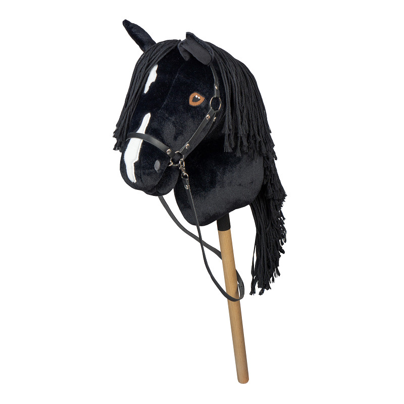 hobby horse